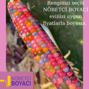 boyacı fiyatları-nöbetçi boyacı