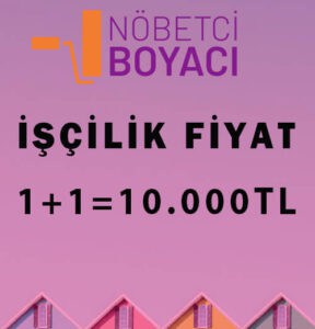 1+1 daire boyama fiyat